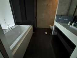 Amber Park (D15), Condominium #589756641
